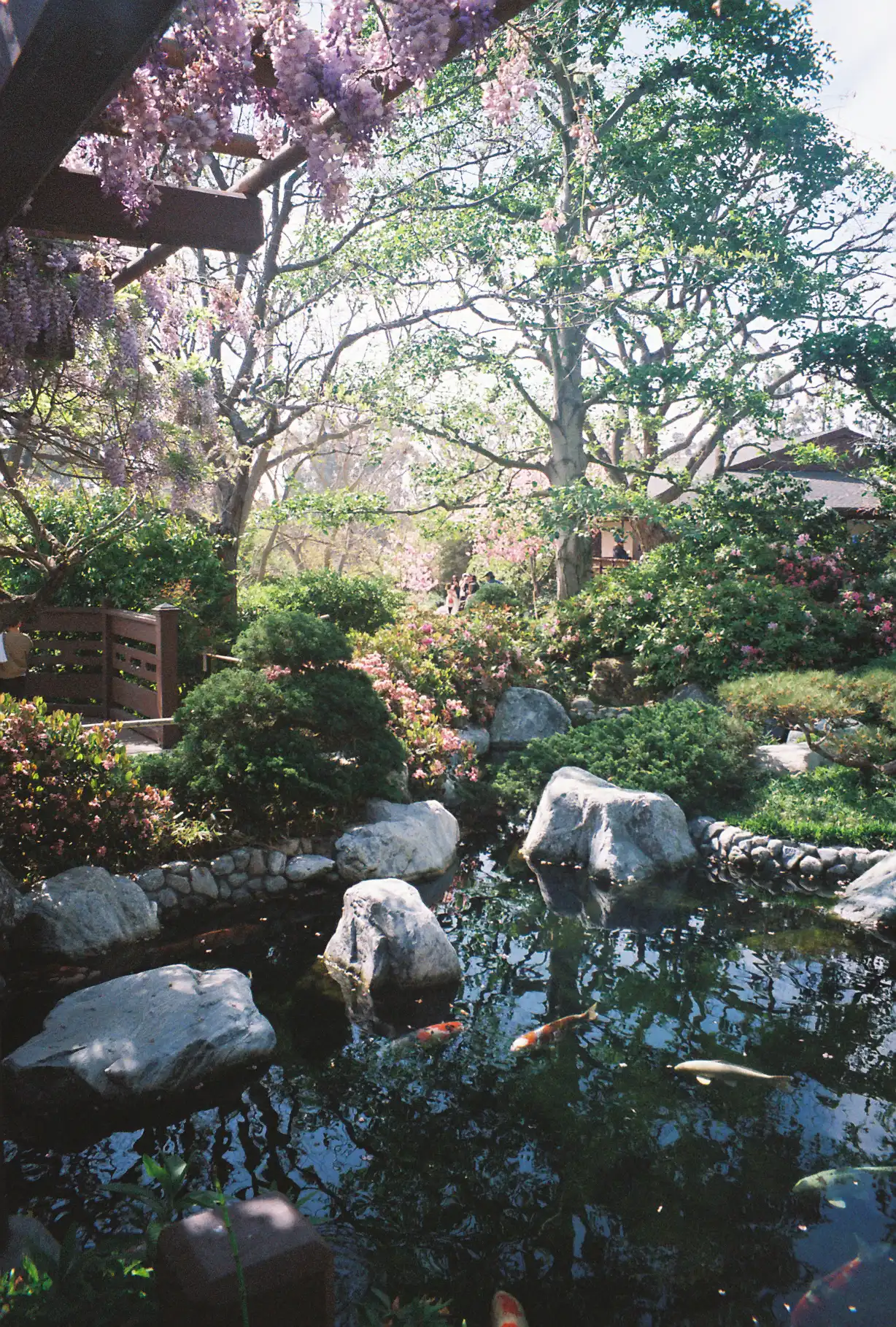 Balboa Japanese Garden